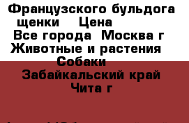 Французского бульдога щенки  › Цена ­ 35 000 - Все города, Москва г. Животные и растения » Собаки   . Забайкальский край,Чита г.